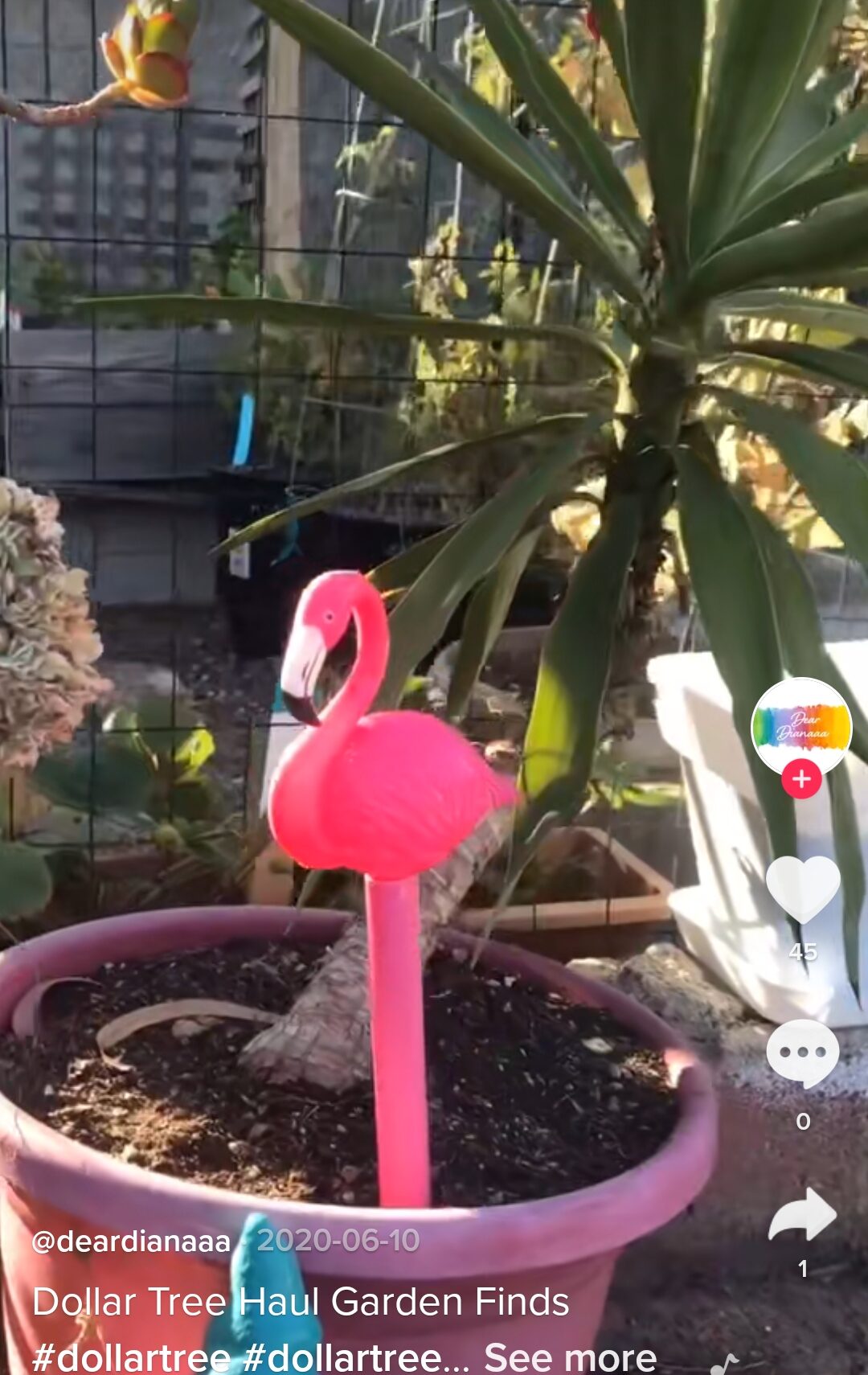 12 Dollar Tree Garden Decor Ideas That Will Help You Decor For A Dollar (2024)