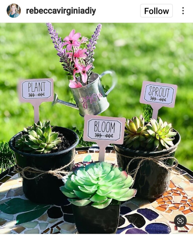 12 Dollar Tree Garden Decor Ideas That Will Help You Decor For A