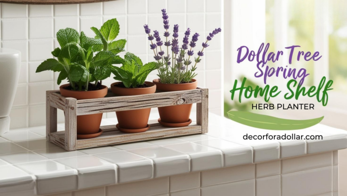 Dollar Tree DIY Herb Planter Shelf